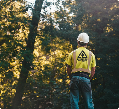 Tree Service Company | Southwest